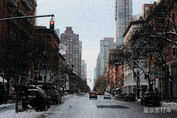 高清摄影 雪后纽约街头的宁静