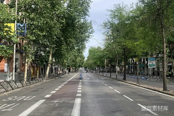 高清摄影 城市绿意盎然的街道