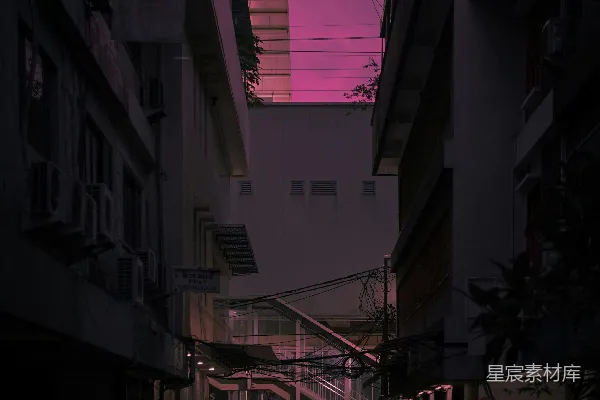 高清摄影 紫暮巷