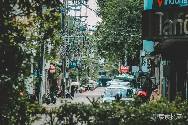 高清摄影 城市中的绿意与繁忙