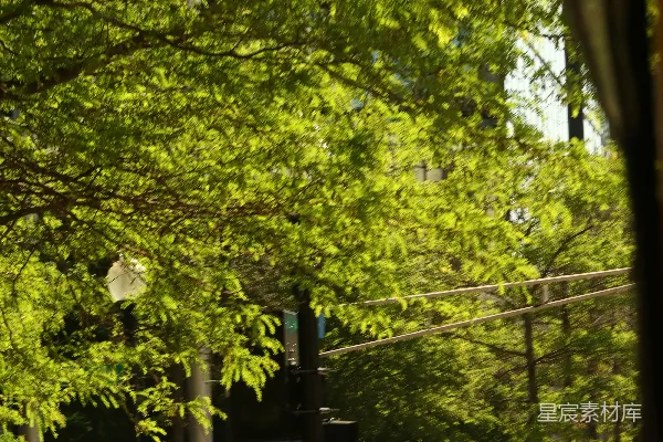 高清摄影 阳光下的城市街道
