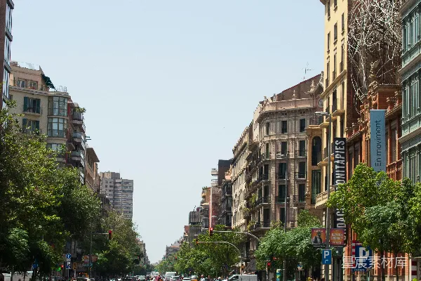 高清摄影 阳光下的城市街道