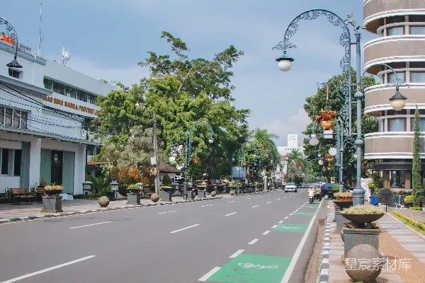 高清摄影 城市绿道与街道风景