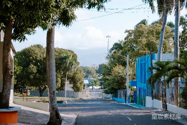 高清摄影 热带风情街道
