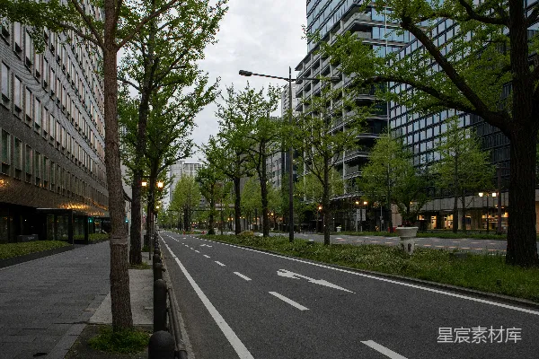 高清摄影 城市绿意街道