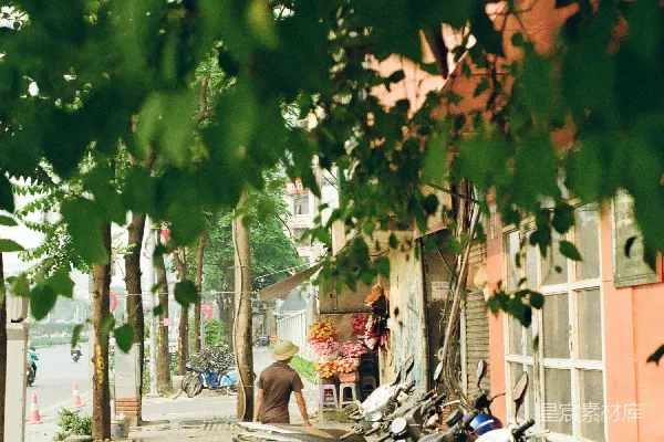 高清摄影 树荫下的宁静街景
