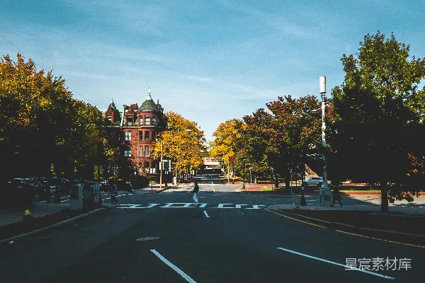 高清摄影 秋日街道的宁静时光