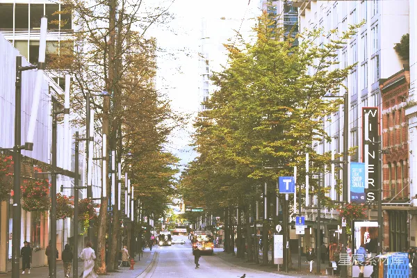 高清摄影 城市中的秋日街道