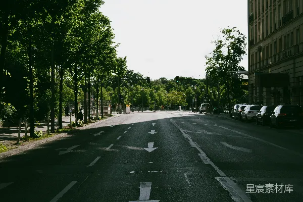 高清摄影 城市绿树下的宁静街道