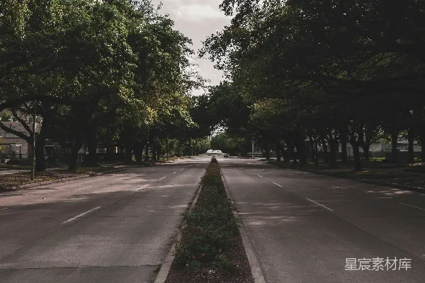 高清摄影 树荫下的宁静街道