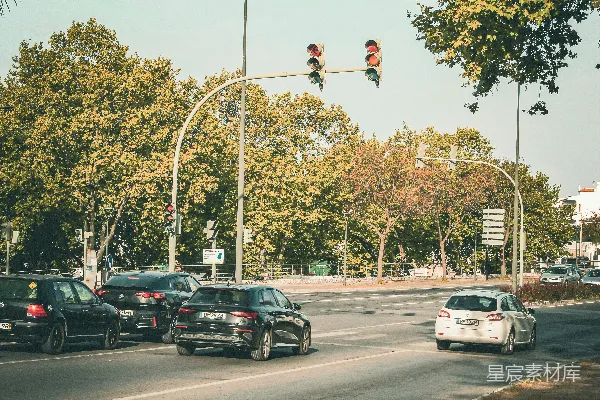高清摄影 城市街角的交通与绿树