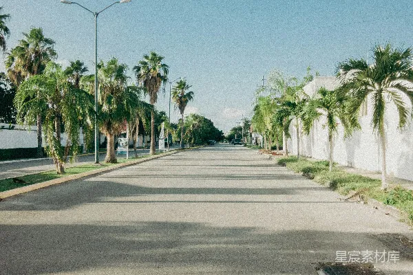 高清摄影 热带风情的宁静街道