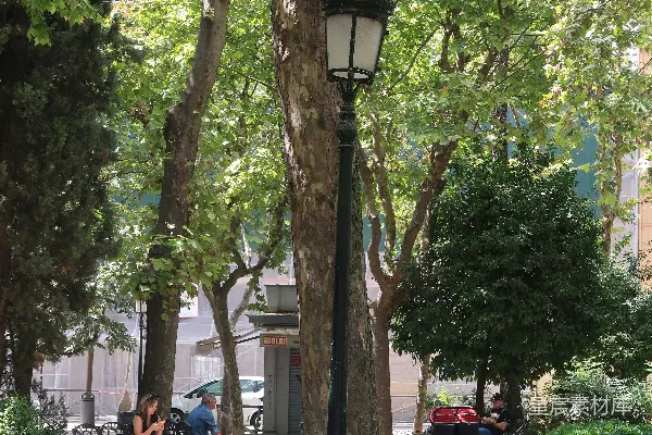 高清摄影 绿树成荫的公园角落