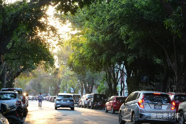 高清摄影 夕阳下的宁静街道