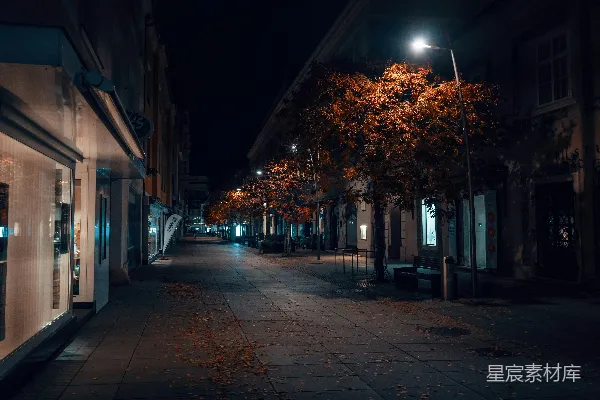 高清摄影 秋夜街景