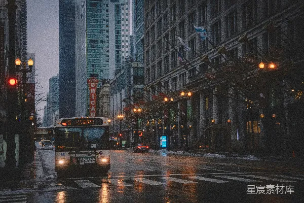 高清摄影 冬日芝加哥街头的夜景