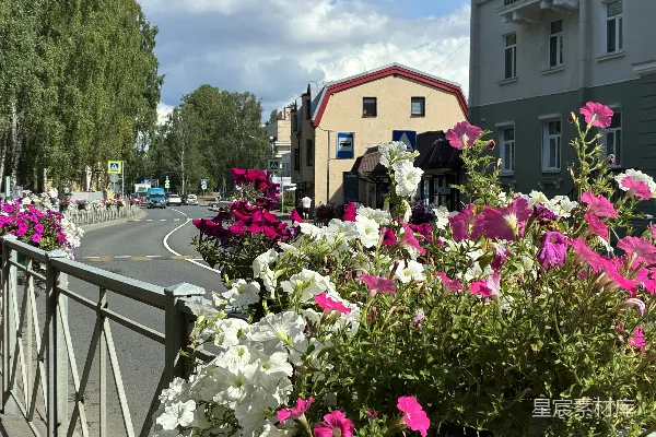 高清摄影 城市街角的花海