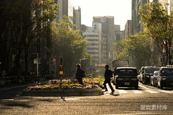 高清摄影 阳光下的都市晨景