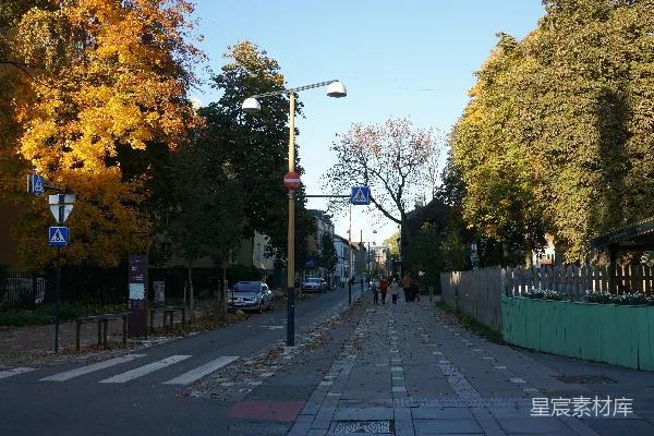 高清摄影 秋日街道的宁静时光