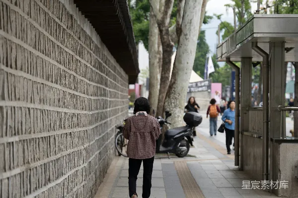 高清摄影 石墙边的悠闲漫步