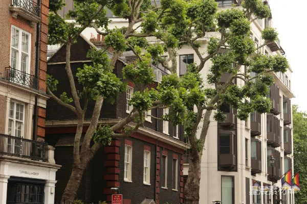 高清摄影 伦敦街景：传统与现代的交融