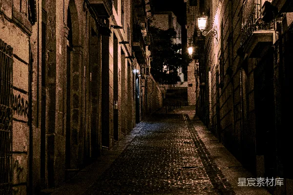 高清摄影 夜晚的石板路