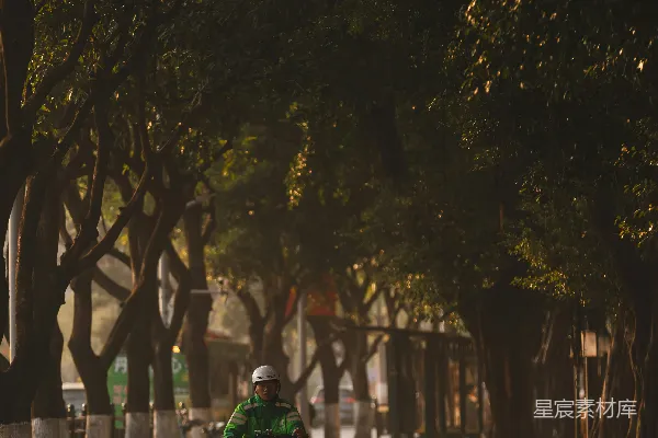 高清摄影 城市中的一抹绿：外卖员的清晨