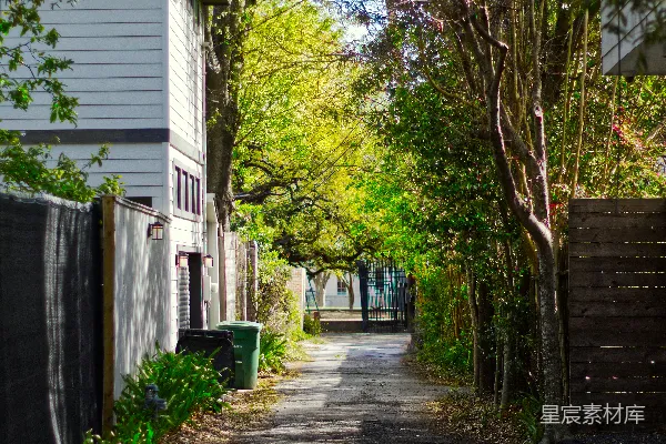 高清摄影 阳光洒满的宁静小巷