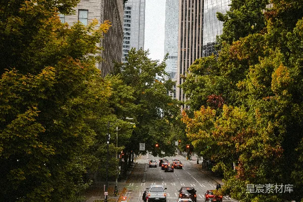 高清摄影 城市街道的秋日景色