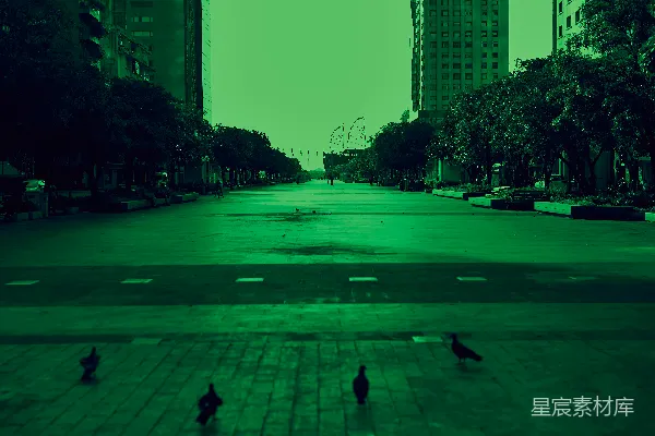 高清摄影 城市绿意盎然的街道