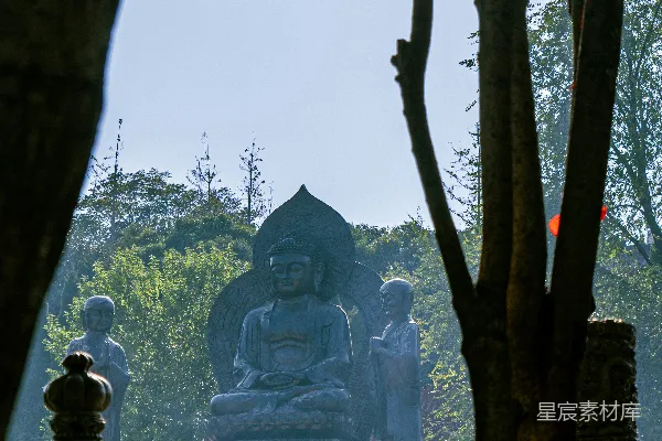 高清摄影 佛像与阳光透过树木