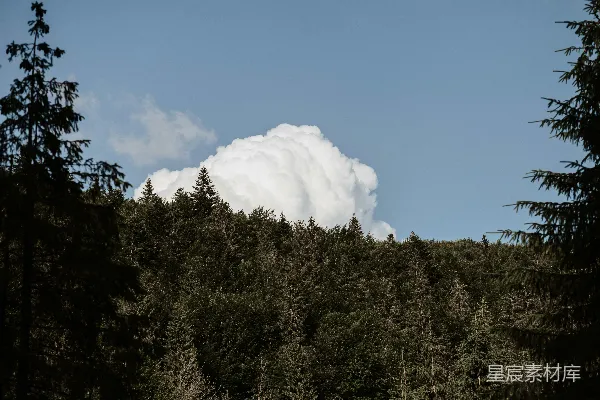 高清摄影 森林中的巨大积雨云