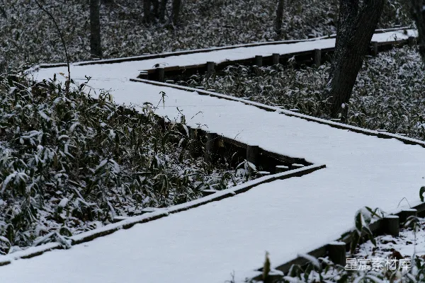 高清摄影 雪中的木桥