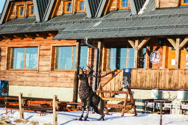 高清摄影 雪地里的木屋与鹿雕像