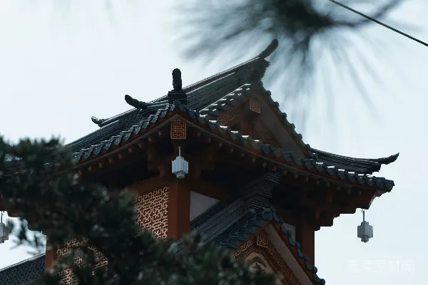 高清摄影 古建筑与松树的静谧一隅