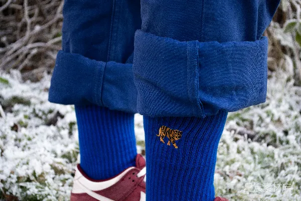 高清摄影 冬季雪地里的蓝色运动风