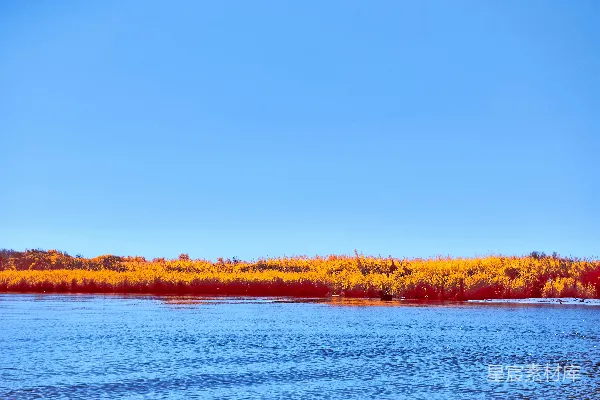 高清摄影 秋日湖畔的金色美景