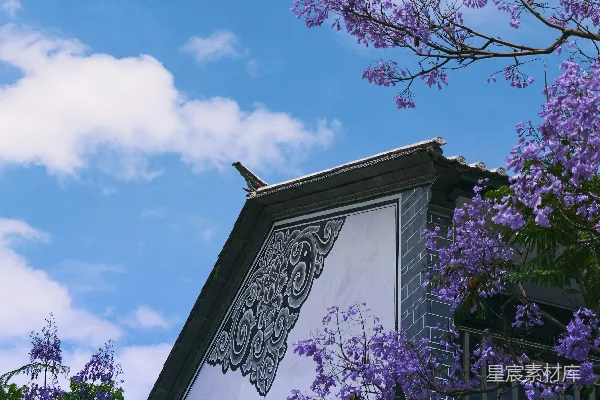 高清摄影 紫花下的古建筑