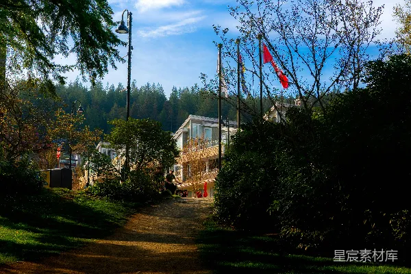 高清摄影 阳光下的小镇街景