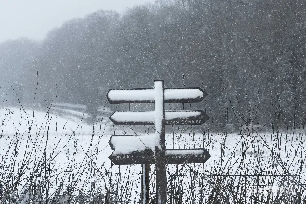 高清摄影 雪中的路标