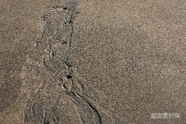 高清摄影 沙中的足迹