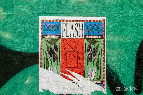 高清摄影 FLASH街头艺术海报