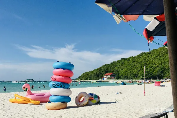 高清摄影 海滩上的人们在白天。