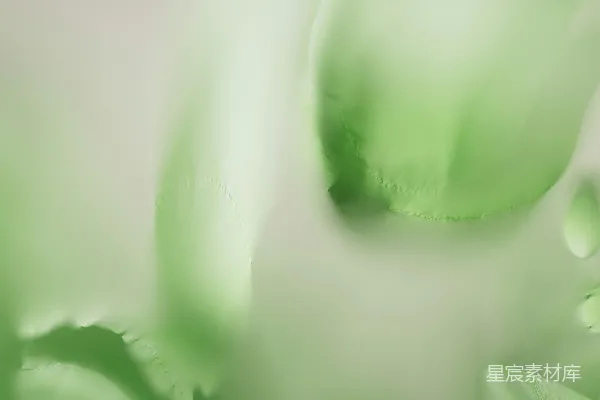 高清摄影 绿意盎然的花瓣特写