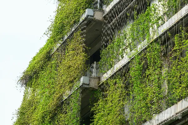 高清摄影 绿色建筑：自然与城市的和谐共存