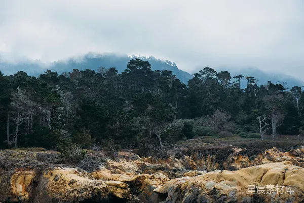 高清摄影 岩石形成的周围环绕着树木