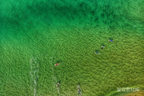 高清摄影 俯瞰冲浪者在碧绿海水中畅游