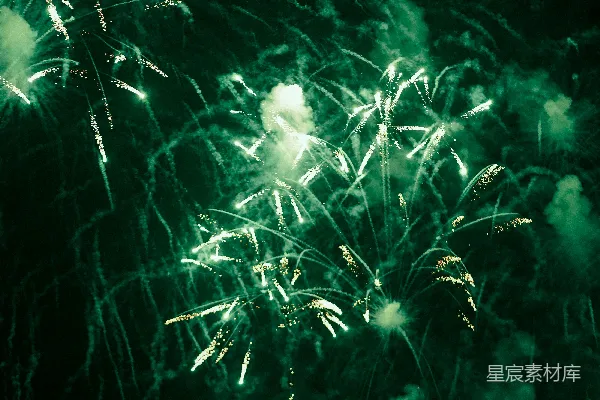 高清摄影 夜空下的绿色烟花