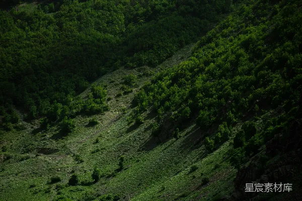 高清摄影 山间溪流与雪山