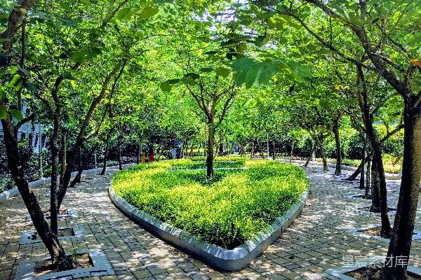 高清摄影 阳光下的公园小径